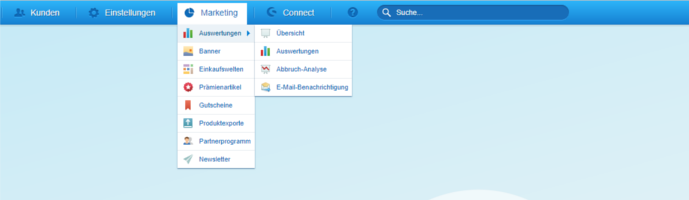 Shopware Backend spezielle Marketing-Funktionen zur Analyse ihres Shops